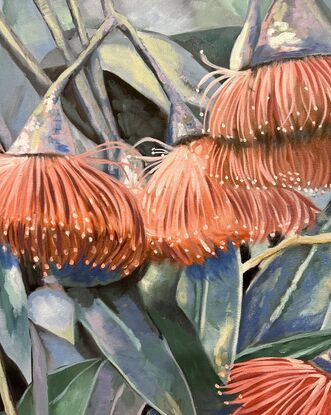 A framed oil painting of pink Australian gum flowers, leaves and blue sky with late afternoon shadows by Amanda Cameron.