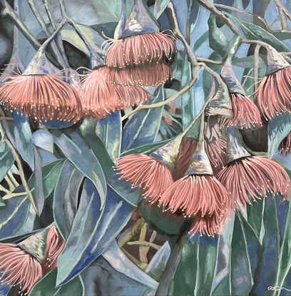 A framed oil painting of pink Australian gum flowers, leaves and blue sky with late afternoon shadows by Amanda Cameron.