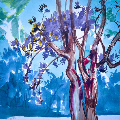 A square format, a big banksia tree is illustrated with gestural marks, on a blue/green background.