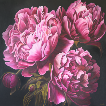 Close up of three deep pink peonies against a dark background