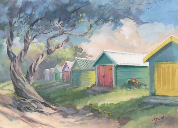 Colourful timber beach sheds with grass and sand and a large twisting tree in foreground.