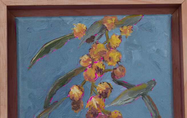 This is a little acrylic painting, a bunch of golden wattle, on a teal blue background.  Highlighted by the bright pink canvas underpainting showing through.