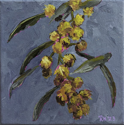 This is a little acrylic painting, a bunch of golden wattle, on a teal blue background.  Highlighted by the bright pink canvas underpainting showing through.