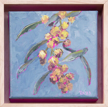 This is a little acrylic painting, a bunch of golden wattle, on a teal blue background.  Highlighted by the bright pink canvas underpainting showing through.