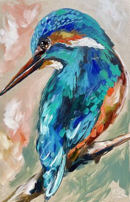 Kingfisher Australian bird 