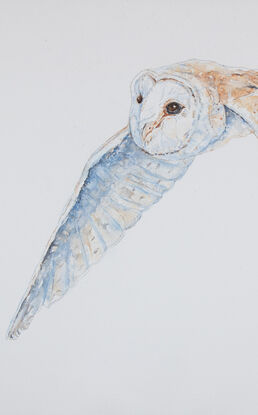 Original Watercolour Painting of "Luna, the Barn Owl flying."  
