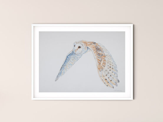 Original Watercolour Painting of "Luna, the Barn Owl flying."  
