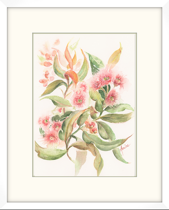 Soft pink gum blossom spray with dancing gum leaves on white background