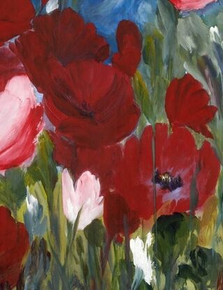 Rich Red Poppies  1mx1m Canvas