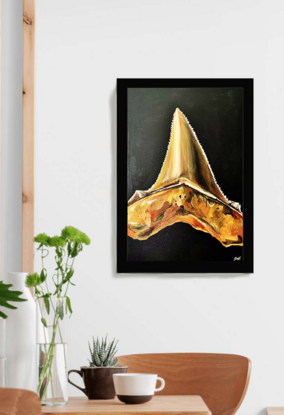 Shark Tooth