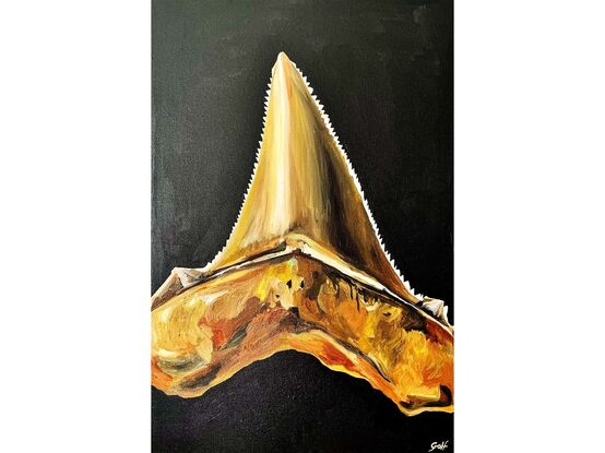 Shark Tooth