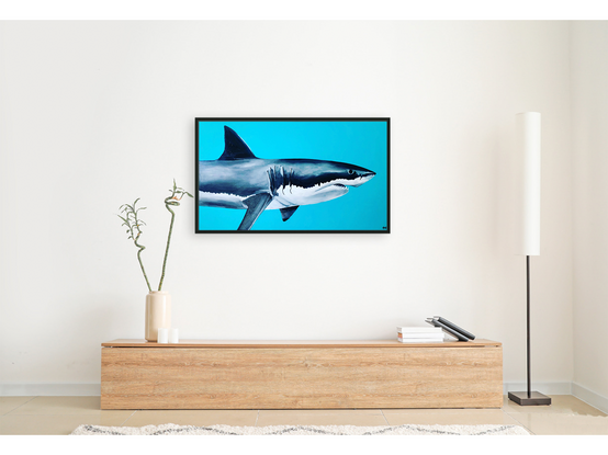 great white shark on a bright blue/green background