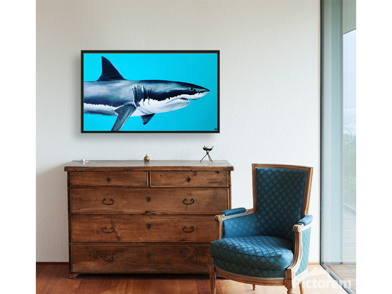 great white shark on a bright blue/green background