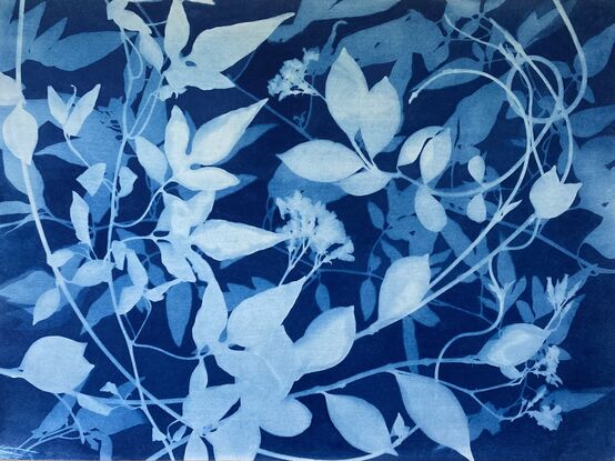 Image of branches of jasmine flowers and leaves in varying shades of blue and white. It is technically a photo but has the texture of a painting.