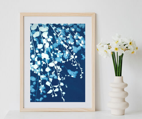 Image of branches of Pittosporum leaves in varying shades of blue and white It is technically a photo but has the texture of a painting.