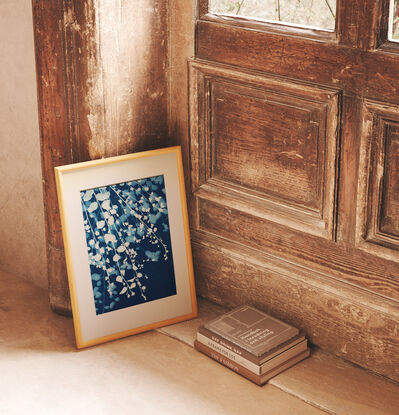 Image of branches of Pittosporum leaves in varying shades of blue and white It is technically a photo but has the texture of a painting.