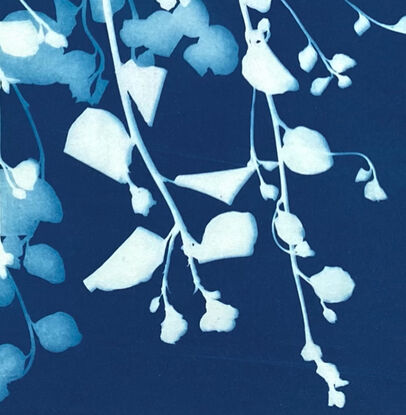 Image of branches of Pittosporum leaves in varying shades of blue and white It is technically a photo but has the texture of a painting.