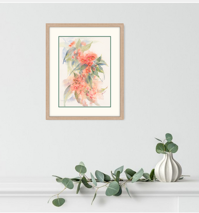 Orange red gum blossom spray with gum leaves on white background