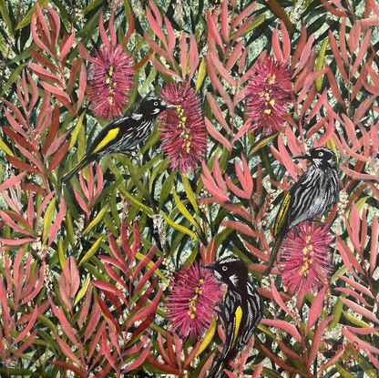 Bright pink bottlebrush in closeup, with New Holland Honeyeaters.