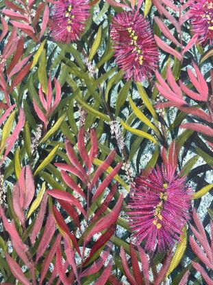 Bright pink bottlebrush in closeup, with New Holland Honeyeaters.