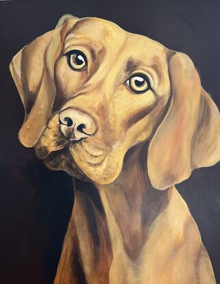 Painted in rich golden hues with a dark background this portrait of a Vizsla captures your heart immediately. This painting shows the expression of  love in the animals eyes and the look of true loyalty every dog owner knows. 