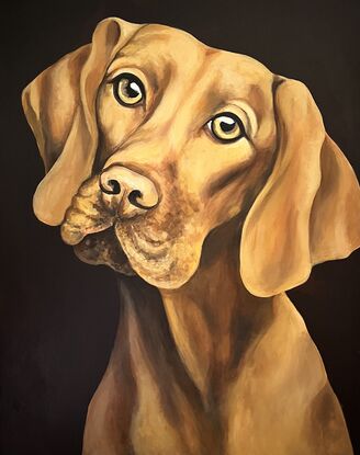 Painted in rich golden hues with a dark background this portrait of a Vizsla captures your heart immediately. This painting shows the expression of  love in the animals eyes and the look of true loyalty every dog owner knows. 