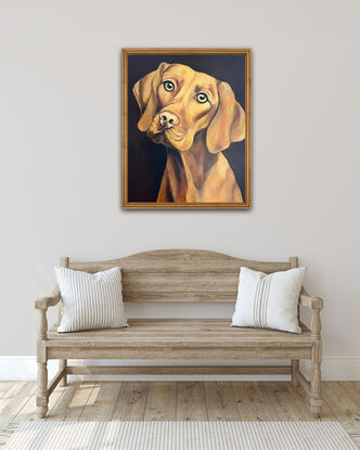 Painted in rich golden hues with a dark background this portrait of a Vizsla captures your heart immediately. This painting shows the expression of  love in the animals eyes and the look of true loyalty every dog owner knows. 