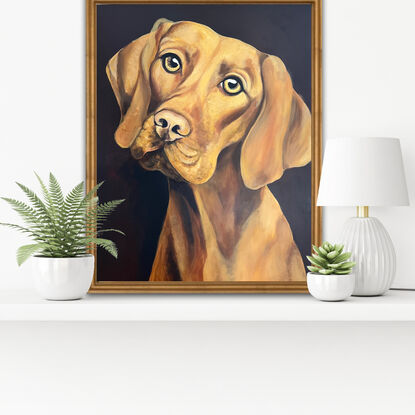 Painted in rich golden hues with a dark background this portrait of a Vizsla captures your heart immediately. This painting shows the expression of  love in the animals eyes and the look of true loyalty every dog owner knows. 