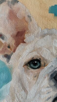 French Bulldog head portrait