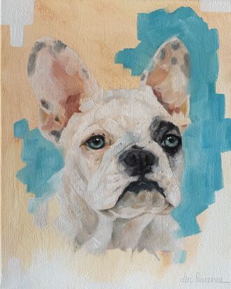 French Bulldog head portrait