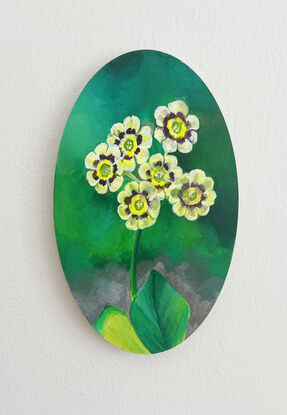 Romantic yellow primula flower set against a deep green background shimmering in a strong white light with green leaves underlying the piece.