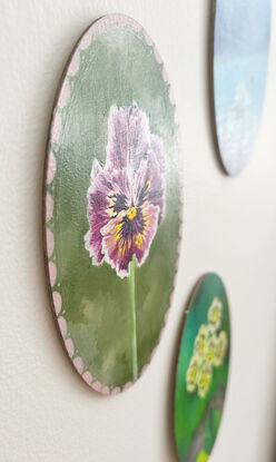 Little purple and yellow pansy flower framed by an antique/vintage vibe pink frame set against a soft green background