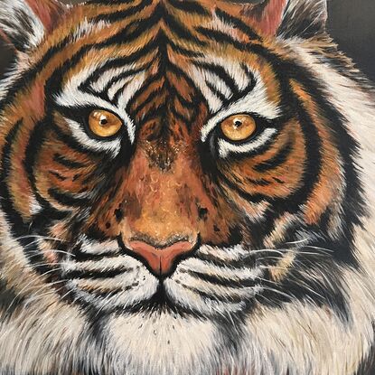 Painted in rich hues this artwork captures the intense gaze of a tiger. This artwork is  unframed 