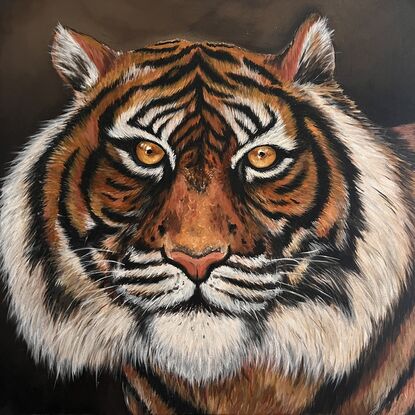 Painted in rich hues this artwork captures the intense gaze of a tiger. This artwork is  unframed 