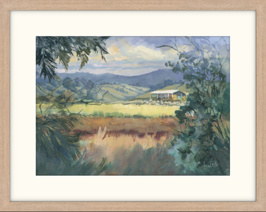 Colourful farming fields with shed and sheep viewed through a gap in the trees