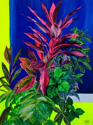 Fushia colored plant stands against a blue and yellow background