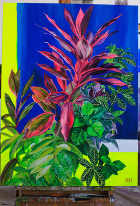 Fushia colored plant stands against a blue and yellow background