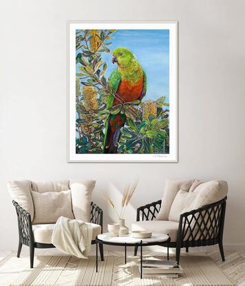 Australian King Parrot perched among Coastal Banksia leaves and yellow flowers with sky background