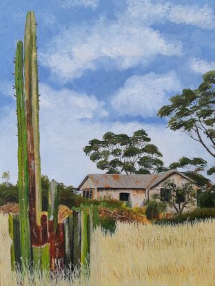 Old farmhouse on Eyre Peninsula with cactus