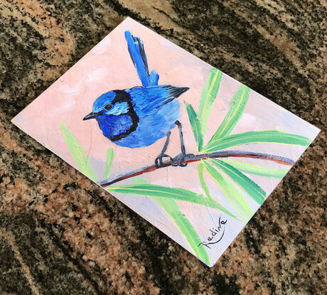 Splendid Fairy Wren bird original painting by Irina Redine. Australian bird small artwork framed and ready to hang, gift idea