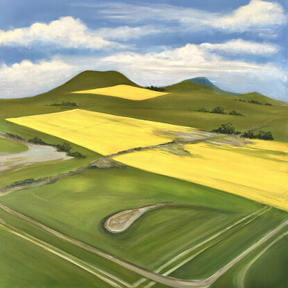 Yellow canola fields and green grassy paddocks seen from above.