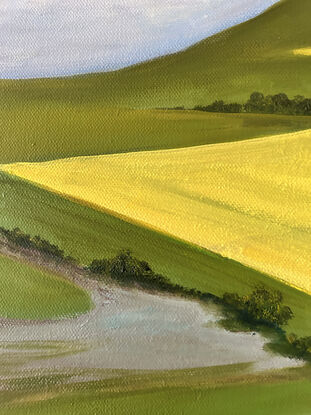 Yellow canola fields and green grassy paddocks seen from above.