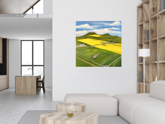 Yellow canola fields and green grassy paddocks seen from above.