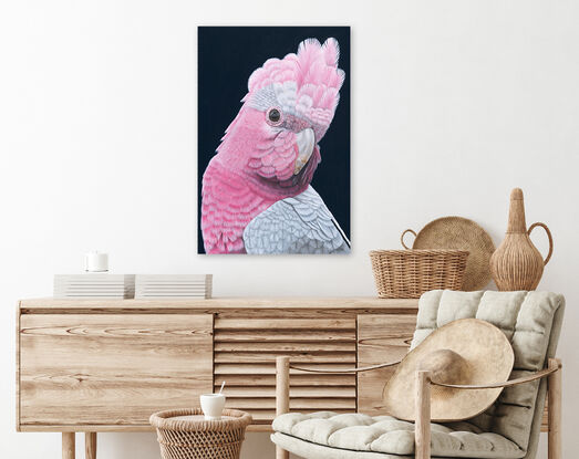 Rod - Galah Giclee Canvas Print by Anne-Marie Bloor