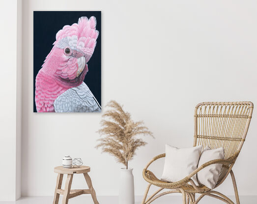 Rod - Galah Giclee Canvas Print by Anne-Marie Bloor