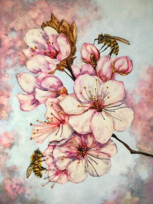 Two Bees landing on pink blossoms 