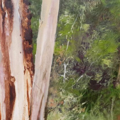 Large rectangular oil painting of green forest with white and caramel tree trunks in foreground with interesting textures. By Australian artist Victoria Collins.