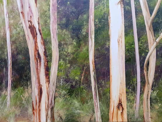 Large rectangular oil painting of green forest with white and caramel tree trunks in foreground with interesting textures. By Australian artist Victoria Collins.