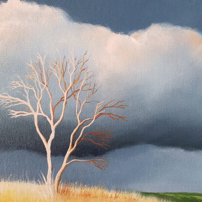 Australian landcape with soft pink tinged clouds,  shadows, framed, small, tree, Lucinda Leveille, original art