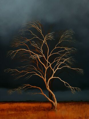 Australian landcape with  burnt orange grasses, deep blue grey cloudy sky and an old tree in the foreground